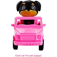 Барби Экстра 5 в Джинсовой Куртке с Длинной Бахромой, Радужными Косами и Щенком