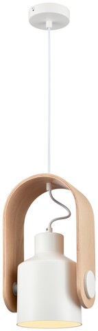 Светильник подвесной Velante 375-706-01