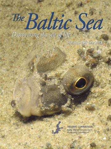 The Baltic Sea: discovering the sea of life | Helena Telkänranta