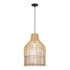Светильник подвесной ST Luce Cesta SL1513.523.01