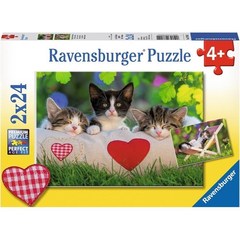 Puzzle Sleepy Kittens 2x24 pcs