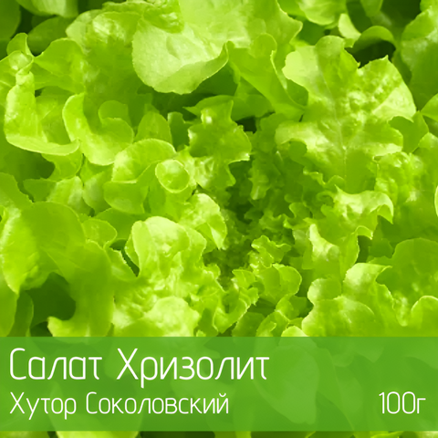Салат Хризолит органический