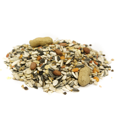 Fiory Pappagallini корм для крупных попугаев 2,8 кг