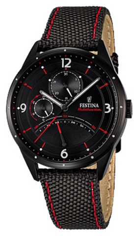 Наручные часы Festina F16849/2 фото