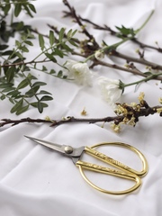 Цветочная подписка «ЦВЕТЫ В ПОДАРОК»