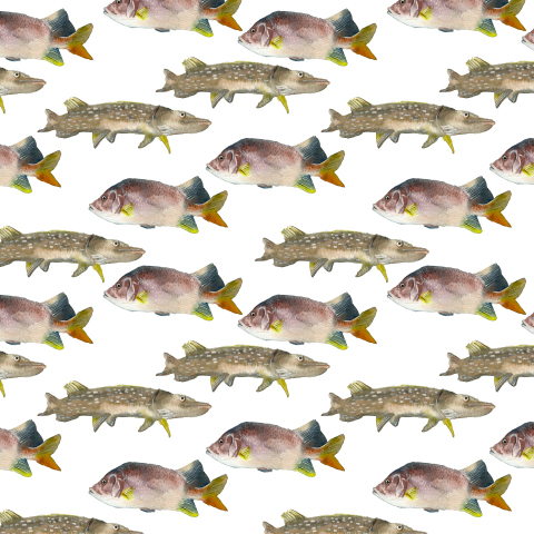 Акварельные рыбы
