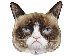 Шар "Недовольный кот"