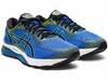 Кроссовки беговые Asics Gel Nimbus 21 мужские распродажа