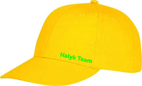 Подарочный набор Halyk Team Термос+Кепка