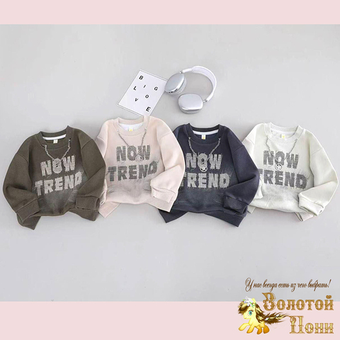 Толстовка хлопок м (3-7) 250110-TR2139