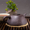 Исинский чайник Ши Пяо 150 мл #P 26