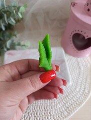 Силиконовая форма 
