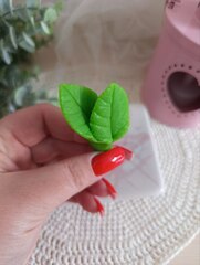 Силиконовая форма 