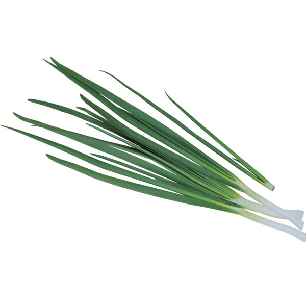 Порно пискаға да, есекке де