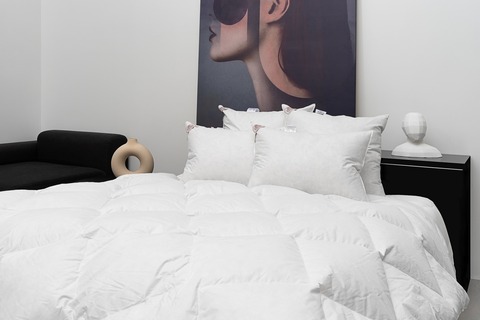 Комплект элитных пуховых одеяла 200х200 и подушки 50x68 German Grass Downline