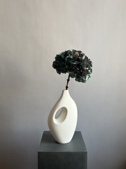 Гортензия макрофила стабилизированная фиолетовая