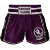 Шорты для тайского бокса Hardcore Training Base 2.0 Purple