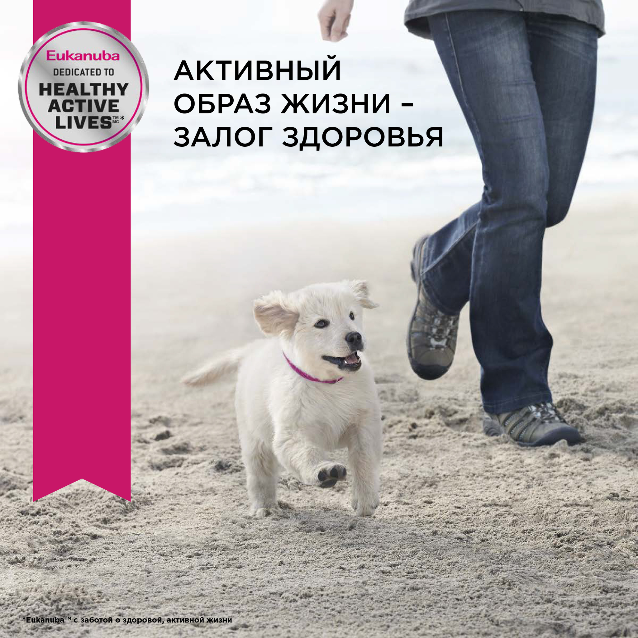 Корм для щенков мелких пород, Eukanuba Dog SMALL PUPPY купить с доставкой в  интернет-магазине зоогастроном.ру