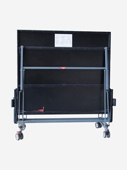 Всепогодный теннисный стол Torneo TTI25-02