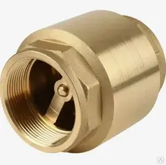 Клапан обратный 2", Китай