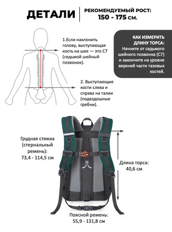 Картинка рюкзак туристический Nevo Rhino 9243-25 Lake Blue - 3