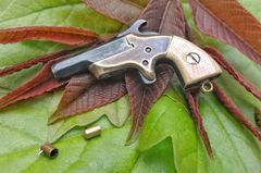 Miniature Southerner Derringer