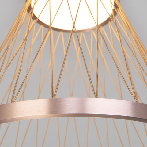 Потолочный светодиодный светильник Eurosvet Cesta 40018/1