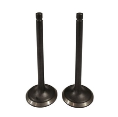 Клапаны (пара) LC2V90FD/500550082-0001