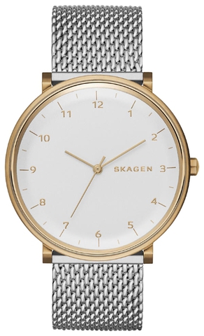 Наручные часы Skagen SKW6170 фото