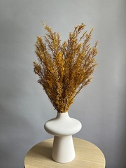 Чайное дерево охра