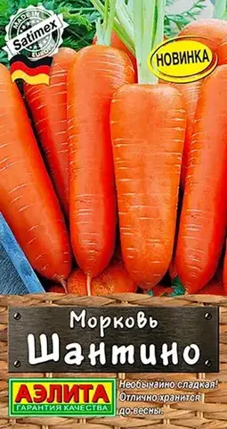 Семена Морковь Шантино