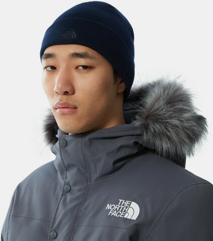 Картинка шапка The North Face Norm Shallow Navy - 2
