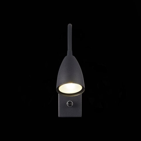 Светильник настенный ST Luce Amio SL1014.401.01