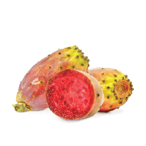 Fumari Prickly Pear