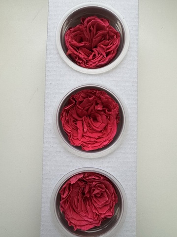 Роза сортовая 6-7см Малиновый (цена за 3шт)