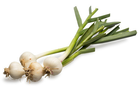 Чеснок молодой фермерский~200г