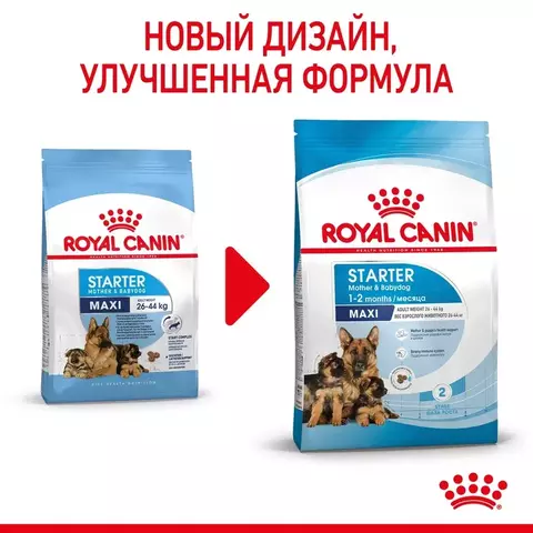 Royal Canin Maxi Starter Mother & Babydog Сухой корм для щенков крупных пород, беременных и кормящих