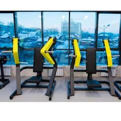 Наклонный жим от груди (Incline Chest Press) DHZ D-915