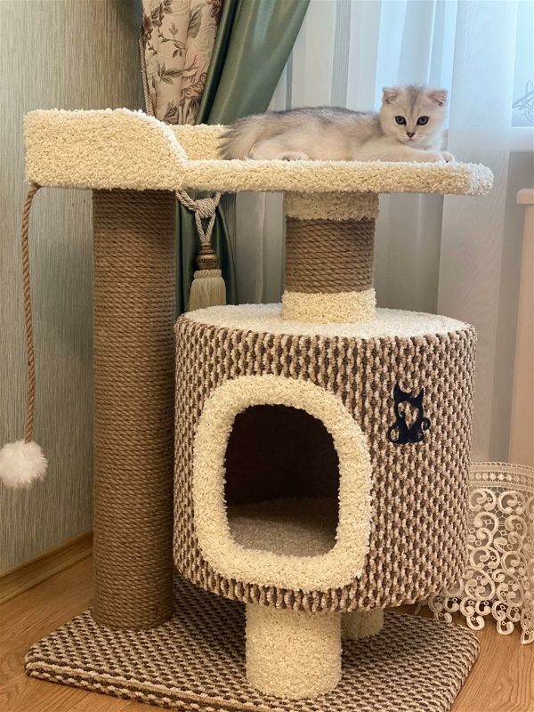 Как выбрать размер кошачьего домика