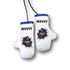 Перчатки боксерские комбинированные "Мэнни Пакьяко", белые с синим