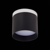 Светильник потолочный ST Luce ST102.442.09