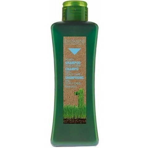 Salerm Biokera Champú Scalp Care Медовый шампунь для чувствительной кожи головы