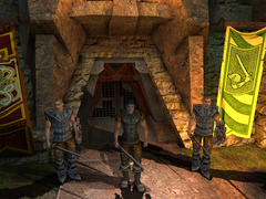 Borderzone (для ПК, цифровой код доступа)