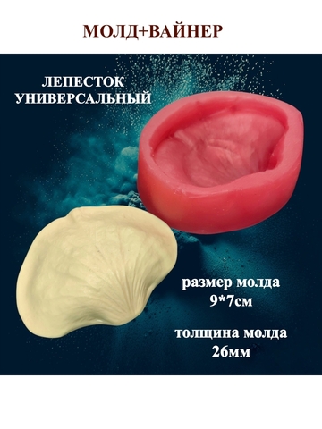 Молд+Вайнер 