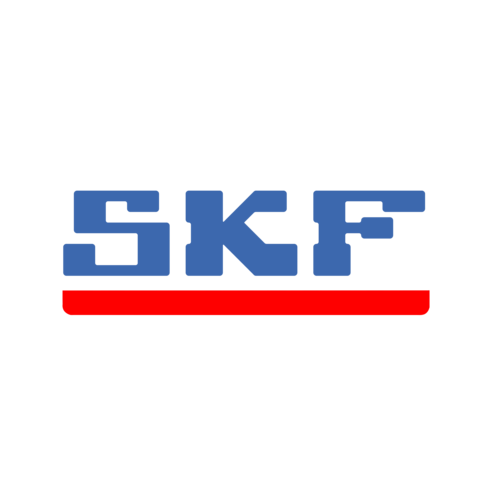 SKF LGFP 2
