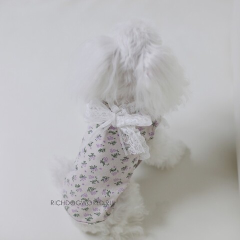 5207 BH Маечка для собак "Bebe T-shirt"