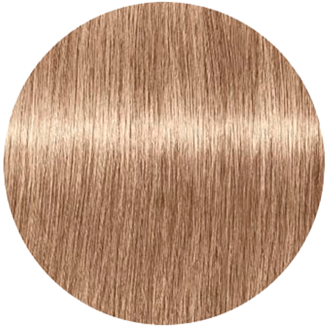 Schwarzkopf Igora Absolutes 9-560 (Блондин золотистый шоколадный) - Стойкая крем-краска для окрашивания зрелых волос