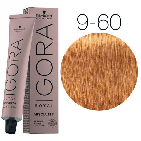 Schwarzkopf Igora Absolutes 9-60 (Блондин шоколадный натуральный) - Стойкая крем-краска для окрашивания зрелых волос