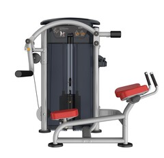 Ягодичные AeroFit IT9526. Стек 91 кг