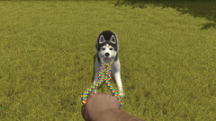 House Flipper Pets DLC (для ПК, цифровой код доступа)